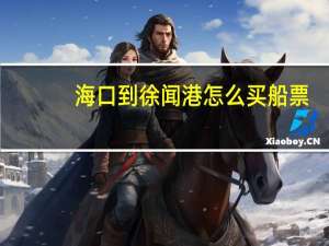 海口到徐闻港怎么买船票