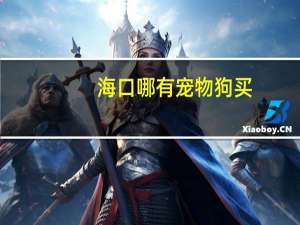 海口哪有宠物狗买
