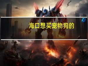 海口想买宠物狗的