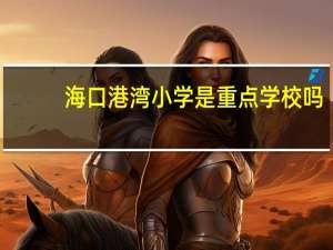 海口港湾小学是重点学校吗