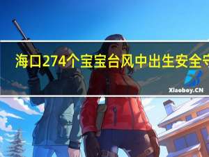 海口274个宝宝台风中出生 安全守护，爱在风雨中