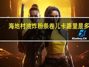 海地村 油炸粉条卷儿卡路里是多少