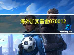 海外加实基金070012（070012）
