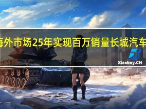 海外市场25年实现百万销量 长城汽车史青科：问题不大