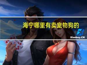 海宁哪里有卖宠物狗的