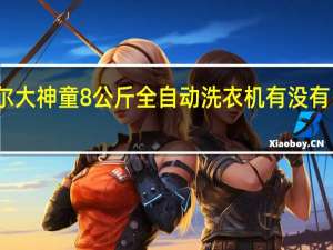 海尔大神童8公斤全自动洗衣机有没有自洁功能