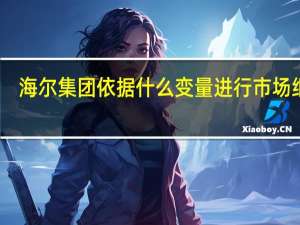 海尔集团依据什么变量进行市场细分