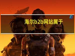海尔b2b网站属于()