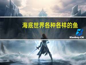 海底世界各种各样的鱼