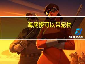 海底捞可以带宠物