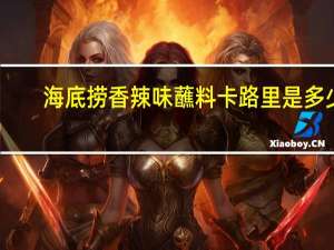 海底捞 香辣味蘸料卡路里是多少