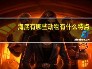 海底有哪些动物有什么特点（海底有哪些动物）