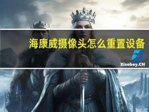 海康威摄像头怎么重置设备