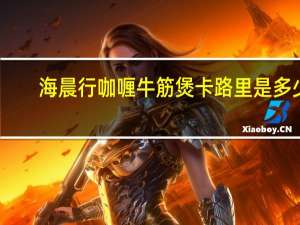 海晨行 咖喱牛筋煲卡路里是多少