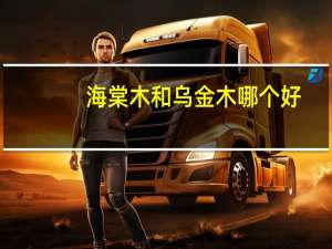 海棠木和乌金木哪个好