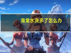 海棠水浇多了怎么办