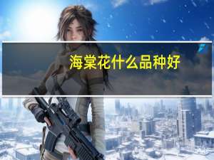 海棠花什么品种好