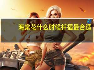 海棠花什么时候扦插最合适