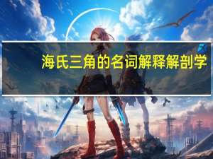 海氏三角的名词解释解剖学
