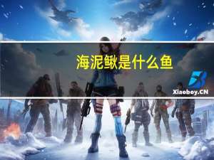 海泥鳅是什么鱼