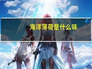海洋薄荷是什么味