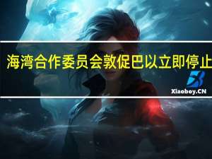 海湾合作委员会敦促巴以立即停止交战