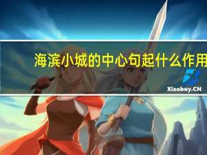 海滨小城的中心句起什么作用