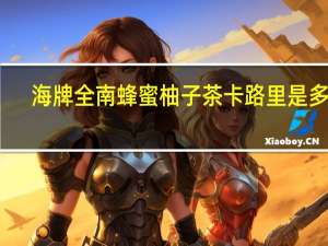 海牌 全南蜂蜜柚子茶卡路里是多少
