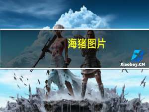 海猪图片（海猪）