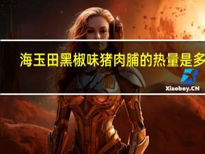 海玉田 黑椒味猪肉脯的热量是多少