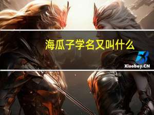 海瓜子学名又叫什么