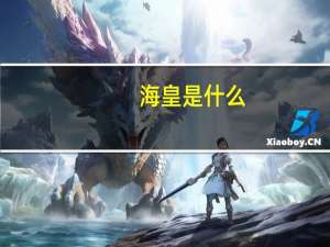 海皇是什么