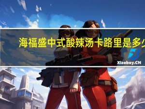 海福盛 中式酸辣汤卡路里是多少