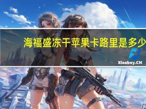 海福盛 冻干苹果卡路里是多少