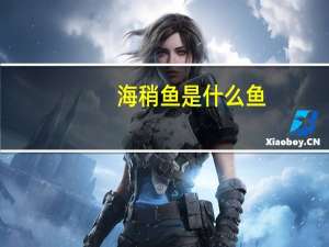 海稍鱼是什么鱼