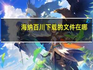海纳百川下载的文件在哪（海纳百川下载器）