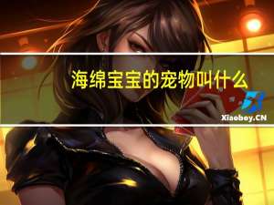 海绵宝宝的宠物叫什么