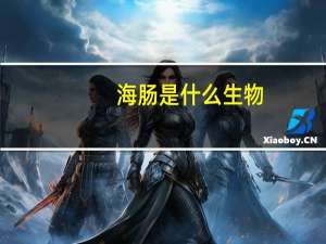 海肠是什么生物
