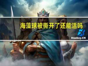 海藻球被撕开了还能活吗