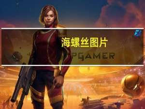 海螺丝图片（海螺丝）