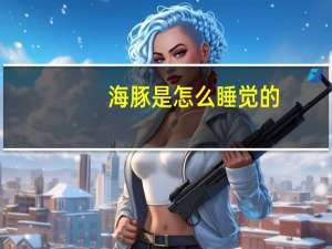海豚是怎么睡觉的