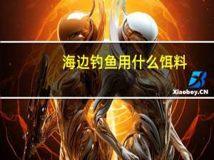 海边钓鱼用什么饵料