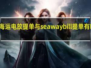 海运电放提单与seawaybill提单有啥区别