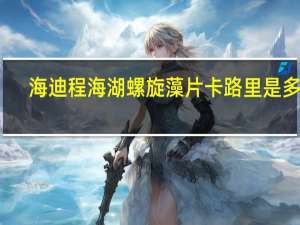 海迪 程海湖 螺旋藻片卡路里是多少