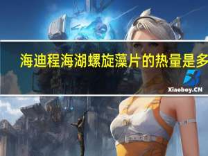 海迪 程海湖 螺旋藻片的热量是多少