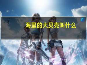 海里的大贝壳叫什么