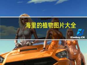 海里的植物图片大全（海里的植物）