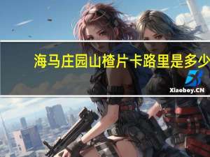 海马庄园 山楂片卡路里是多少