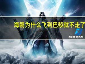 海鸥为什么飞到巴黎就不走了