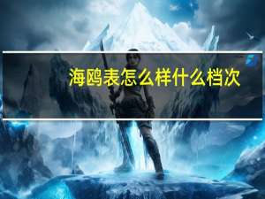 海鸥表怎么样什么档次